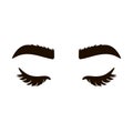 Closed eyes with eyelashes. Women eyes simple illustration. Hand drawn female luxurious eye with shaped eyebrows, eyelashes. Idea