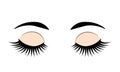 Closed eyes with long eyelashes and eyebrows. Eye flat icon isolated on white. Vector illustration for beauty salons, makeup and Royalty Free Stock Photo