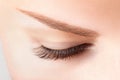 Closed female eye with long eyelashes. Classic 1D, 2D eyelash extensions and light brown eyebrow close up. Eyelash extensions,