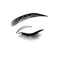 Closed female eye with long eyelashes Royalty Free Stock Photo