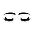 Closed female eyes, eyelashes, and eyebrows Royalty Free Stock Photo