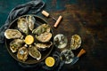 Closed fresh oysters and white wine in glasses on a stone background. Free space for your text. Seafood.