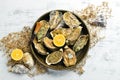 Closed fresh oysters on a white wooden background. Free space for your text. Seafood.