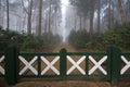 Closed gate on path in misty forest