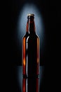 Closed bottle of beer on a black background. Royalty Free Stock Photo