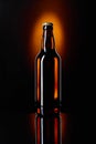 Closed bottle of beer on a black background. Royalty Free Stock Photo