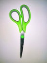 Closed green with gray scissor