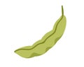 Closed green pea pod. Fresh raw vegetable food. Ripe bean veggie, curved crop. Healthy eating. Flat vector illustration