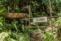 Closed hiking trail in a forest of Kinabalu Park, Sabah, Malays