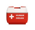 Closed human organ refrigerator box red 3d render no shadow