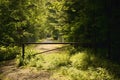 Closed iron barrier in entrance to forest village named Kersko during summer sunset in czech republic in july 2018 Royalty Free Stock Photo