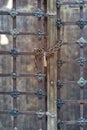 Closed lock with a chain on an old steel door, locks on rusty metal door