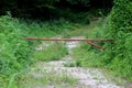 Closed and locked rusted metal ramp blocking entrance to local forest over overgrown forest road surrounded with dense trees