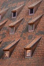 Closed mansard windows on the roof top Royalty Free Stock Photo