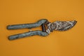 Closed one old gray garden shears covered with rust Royalty Free Stock Photo