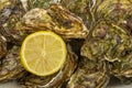 Closed oysters in a dish with lemon