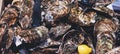 Closed oysters with lemon, fresh oyster shell, mollusks in seafood market, aphrodisiac sea food restaurant, dish expensive fresh