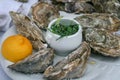 Closed oysters in a plate