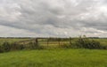 Closed rust-colored iron gate on the edge of a meadow Royalty Free Stock Photo