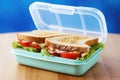 a closed sandwich in a blue lunchbox