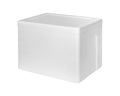 Closed Styrofoam storage box isolated on white background. Insulation box for delivery. Clipping path