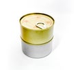 Closed tin can with open key Royalty Free Stock Photo