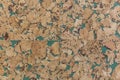 Closed up of brown cork wood board abstractpattern texture background with green Royalty Free Stock Photo