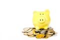 Closed up cute soft yellow piggy bank standing on golden and silver coin pile