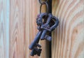 Closed Up Dark Color Crown Shaped Vintage Metal Keys on the Light Color Wooden Door Royalty Free Stock Photo