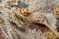 Closed up dry organic wheat seeds in wooden spoon on variety kinds of natural cereal and grain seeds background