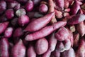 Closed up fresh organic purple yam and tuber plant after harvested from the farm Royalty Free Stock Photo