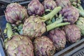 Closed up of fresh vegetable artichokes in the market Royalty Free Stock Photo