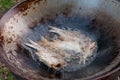 Closed up fried fish on stove, thai local life