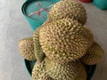Closed up image of a group of Durian king of Thai fruit in a basket placed on the cement floor