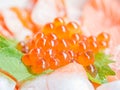 Closed up of Japanese Dish Salmon Ikura Don