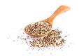Closed up mixed three color quinoa seed pile in wooden spoon Royalty Free Stock Photo