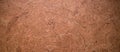 Closed up of panoramic brown cork board texture for banner background Royalty Free Stock Photo