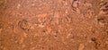 Closed up of panoramic brown cork board texture for banner background Royalty Free Stock Photo