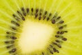 Closed up sliced kiwi fruit Royalty Free Stock Photo