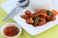 Closed up Stir fried seafood with chili paste and steam rice