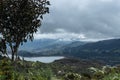 Closed up to a Lonely tree near to a lake surrounded by andean mountains typically nature and cloudy day at background Royalty Free Stock Photo