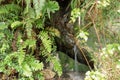 Closed up to a small waterfall with silk effect into andean rainforest