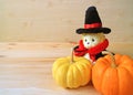 Closed Up Vibrant Orange Color and Yellow Ripe Pumpkin with Adorable Lion Soft Toy in Wizard Costume on Wooden Background Royalty Free Stock Photo