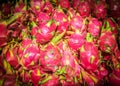 Closed up Vivid and Vibrant Dragon Fruit against for sale in a local food market