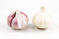 Two closed white organic garlic bulbs with skin isolated on white background Royalty Free Stock Photo