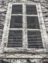 Closed window blinds of a house covered with dried ivy Royalty Free Stock Photo