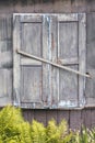 Closed wooden shutters with peeling paint on gray wall Royalty Free Stock Photo