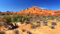 Arches National Park Landscape Panorama of Southwest Desert Landscape with Rock Fins in Devils Garden, Utah