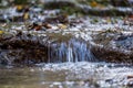 a closeup of cascade of small waterfall formed on forest creek Royalty Free Stock Photo