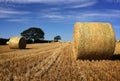 Closer view of bale of straw after the harvest